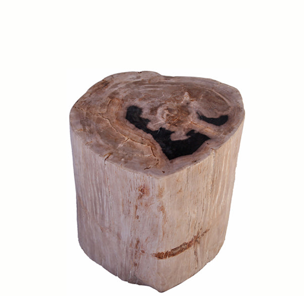 Petrified Wood Stool Accent Table 211
