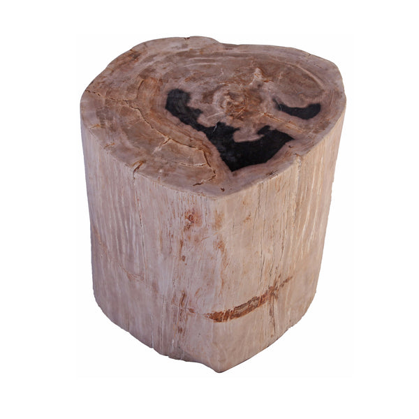 Petrified Wood Stool Accent Table 211