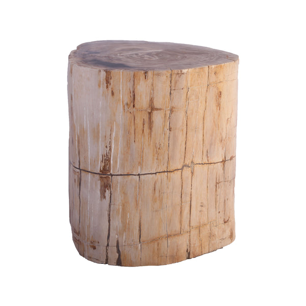 Petrified Wood Stool Accent Table 211