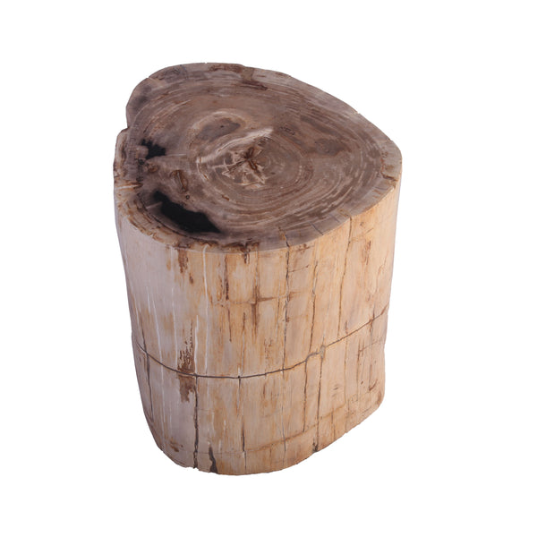 Petrified Wood Stool Accent Table 212