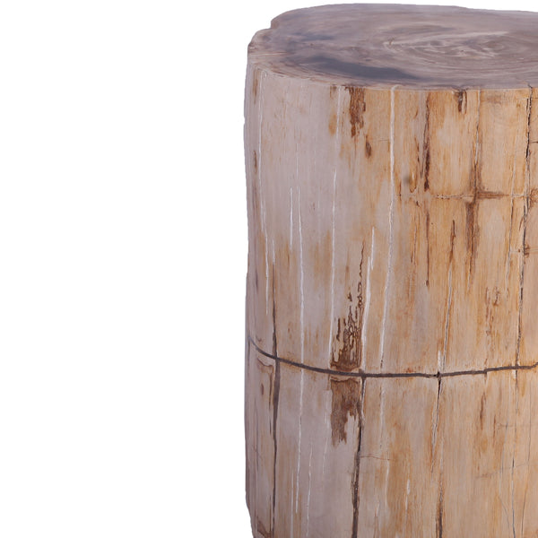 Petrified Wood Stool Accent Table 211