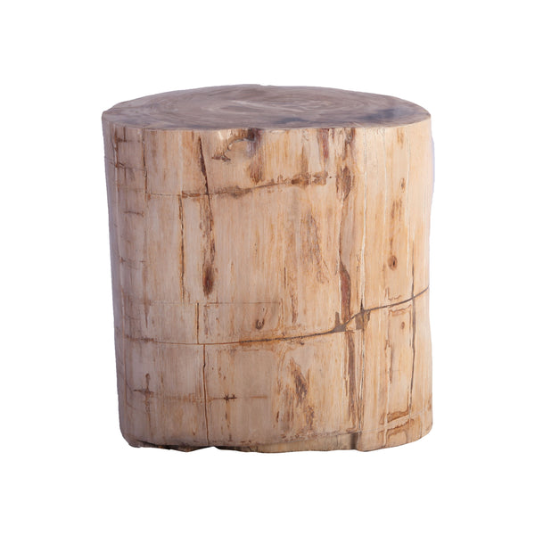 Petrified Wood Stool Accent Table 211