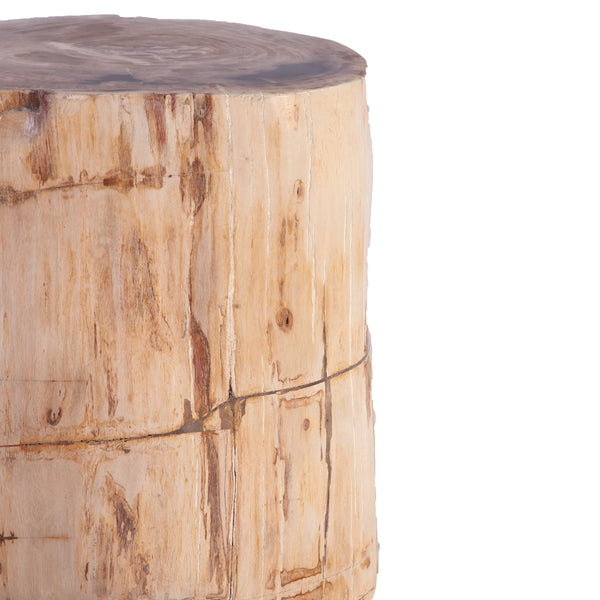 Petrified Wood Stool Accent Table 211