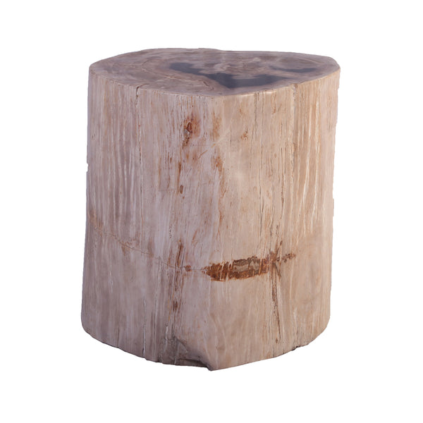 Petrified Wood Stool Accent Table 211