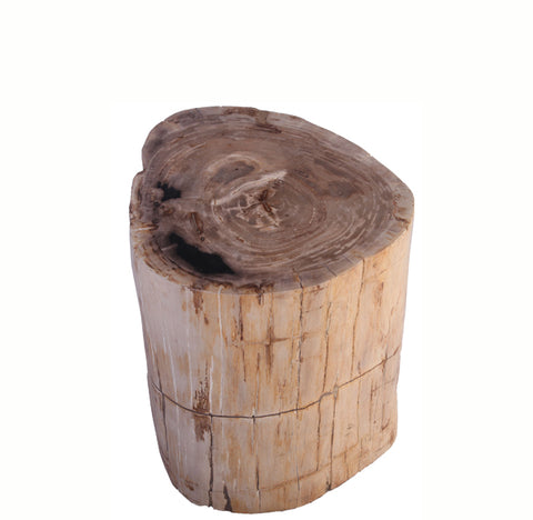 Petrified Wood Stool Accent Table 212