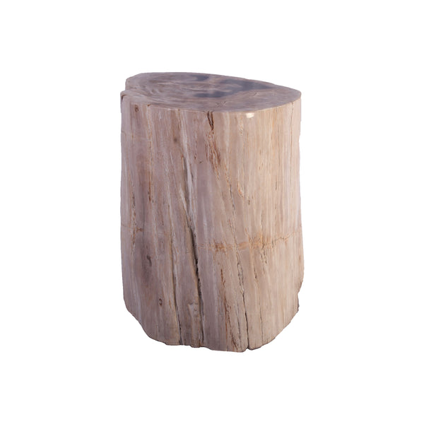 Petrified Wood Stool Accent Table 212