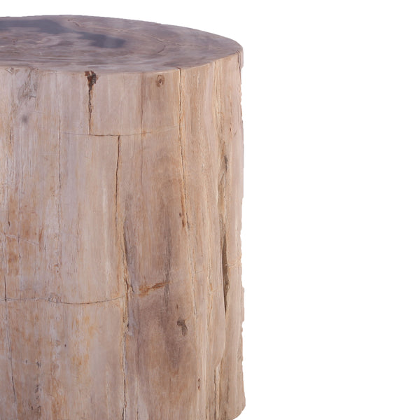 Petrified Wood Stool Accent Table 212
