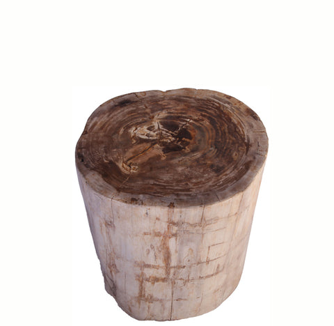 Petrified Wood Stool Accent Table 213