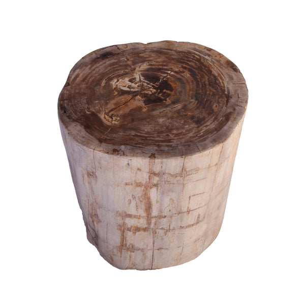Petrified Wood Stool Accent Table 213