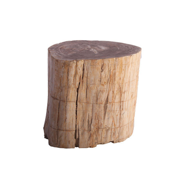 Petrified Wood Stool Accent Table 214
