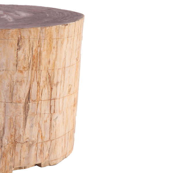 Petrified Wood Stool Accent Table 214