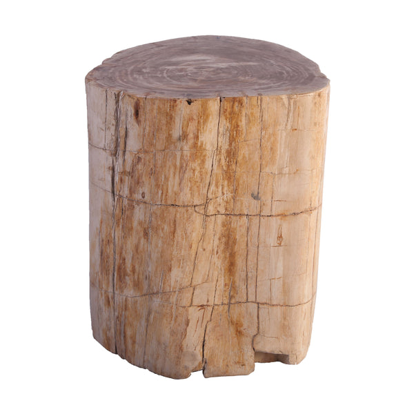Petrified Wood Stool Accent Table 214
