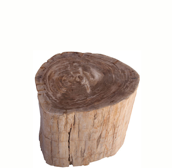 Petrified Wood Stool Accent Table 214