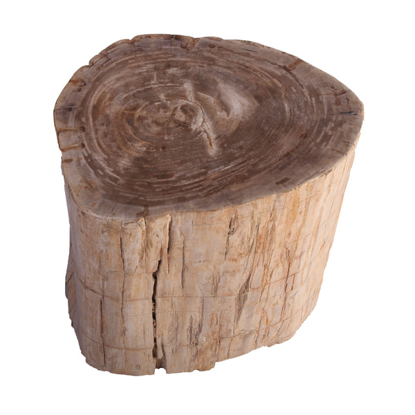 Petrified Wood Stool Accent Table 214