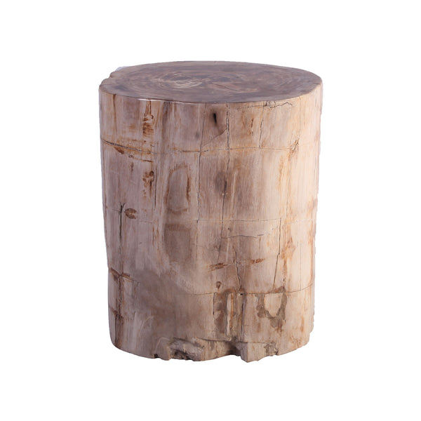 Petrified Wood Stool Accent Table 213