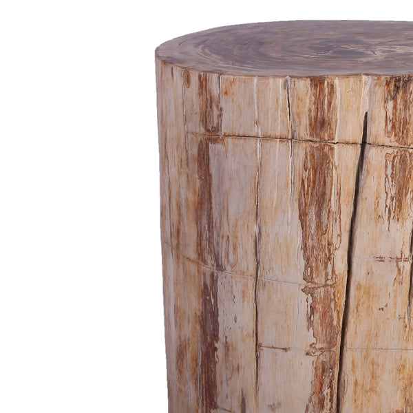 Petrified Wood Stool Accent Table 213