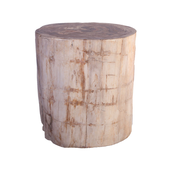Petrified Wood Stool Accent Table 213