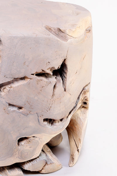 Bleached White Teak Root Accent or Side Table or Stool 41