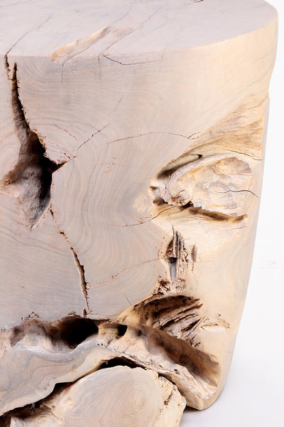 Z-Bleached White Teak Root Accent or Side Table or Stool 42
