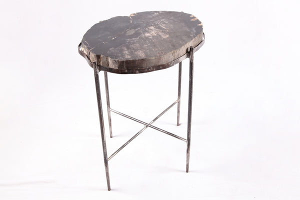 Living Edge Petrified Wood Top w Iron Stand Accent Table or Side Table 48