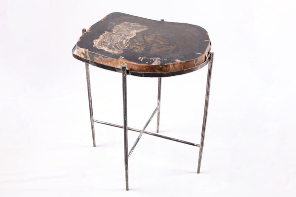 Living Edge Petrified Wood Top w Iron Stand Accent Table or Side Table 50
