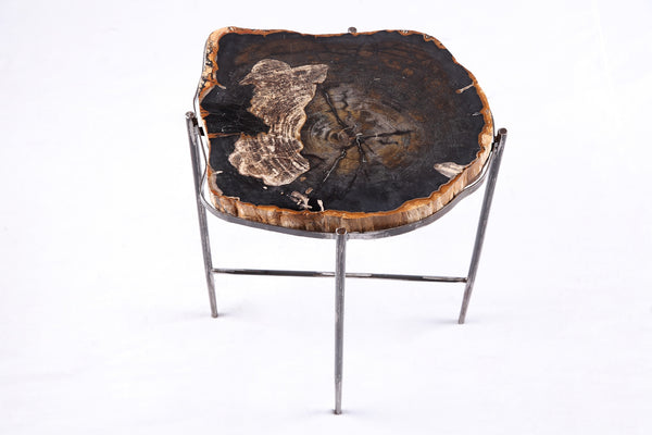 Living Edge Petrified Wood Top w Iron Stand Accent Table or Side Table 51