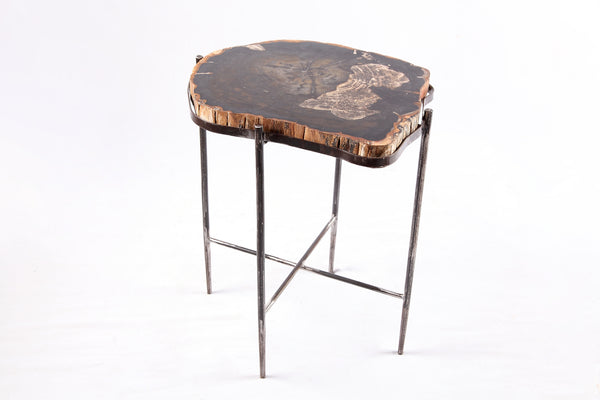 Living Edge Petrified Wood Top w Iron Stand Accent Table or Side Table 51