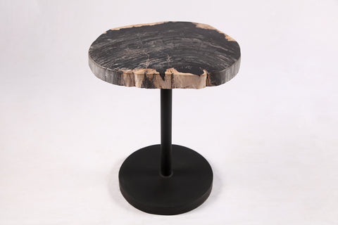 Living Edge Petrified Wood Top w Black Metal Stand Accent Table or Side Table 53