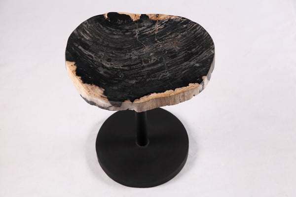 Living Edge Petrified Wood Top w Black Metal Stand Accent Table or Side Table 53