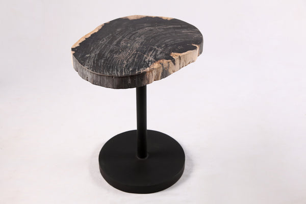 Living Edge Petrified Wood Top w Black Metal Stand Accent Table or Side Table 53