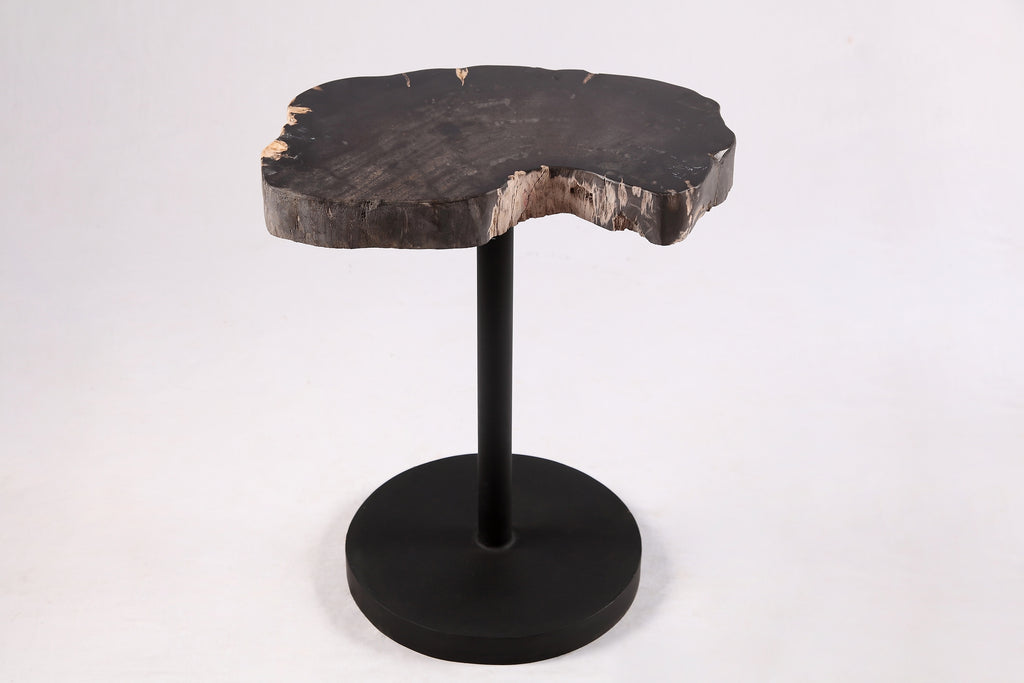 Living Edge Petrified Wood Top w Black Metal Stand Accent Table or Side Table 54