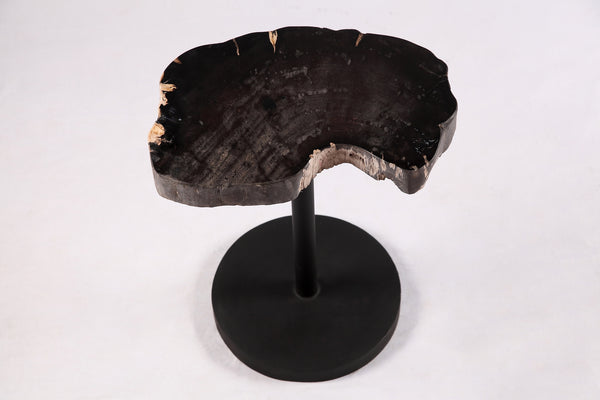 Living Edge Petrified Wood Top w Black Metal Stand Accent Table or Side Table 54