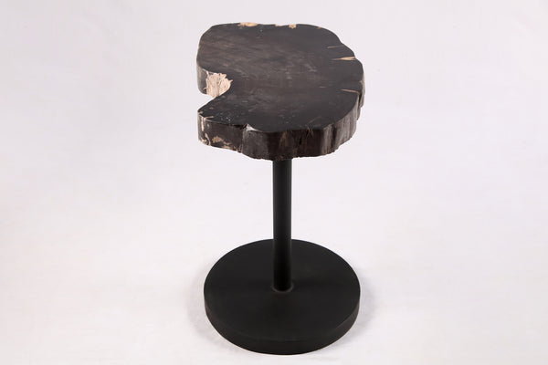 Living Edge Petrified Wood Top w Black Metal Stand Accent Table or Side Table 54