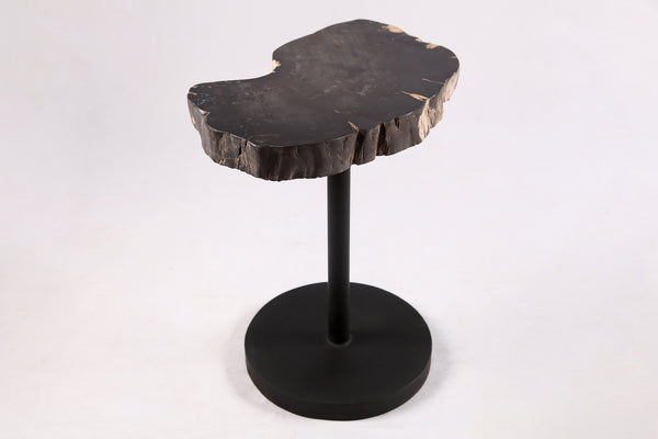 Living Edge Petrified Wood Top w Black Metal Stand Accent Table or Side Table 54