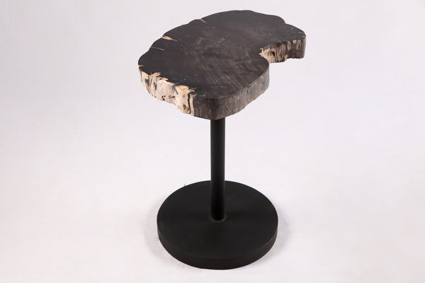 Living Edge Petrified Wood Top w Black Metal Stand Accent Table or Side Table 54