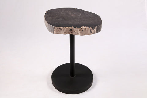 Living Edge Petrified Wood Top w Black Metal Stand Accent Table or Side Table 55
