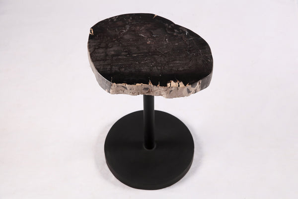 Living Edge Petrified Wood Top w Black Metal Stand Accent Table or Side Table 55