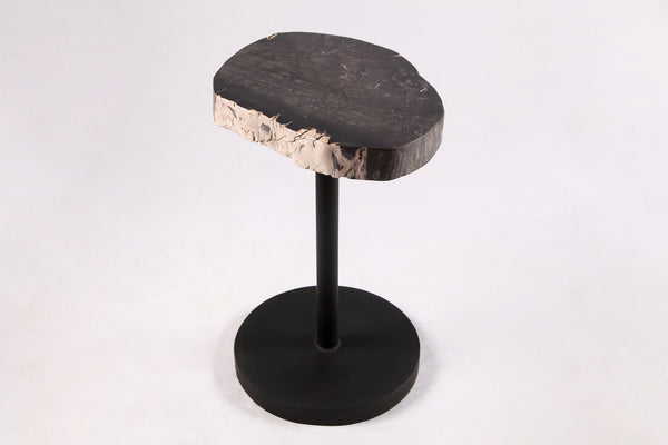 Living Edge Petrified Wood Top w Black Metal Stand Accent Table or Side Table 55