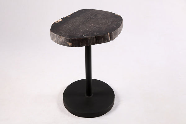 Living Edge Petrified Wood Top w Black Metal Stand Accent Table or Side Table 55