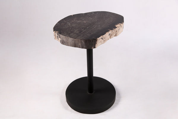 Living Edge Petrified Wood Top w Black Metal Stand Accent Table or Side Table 55