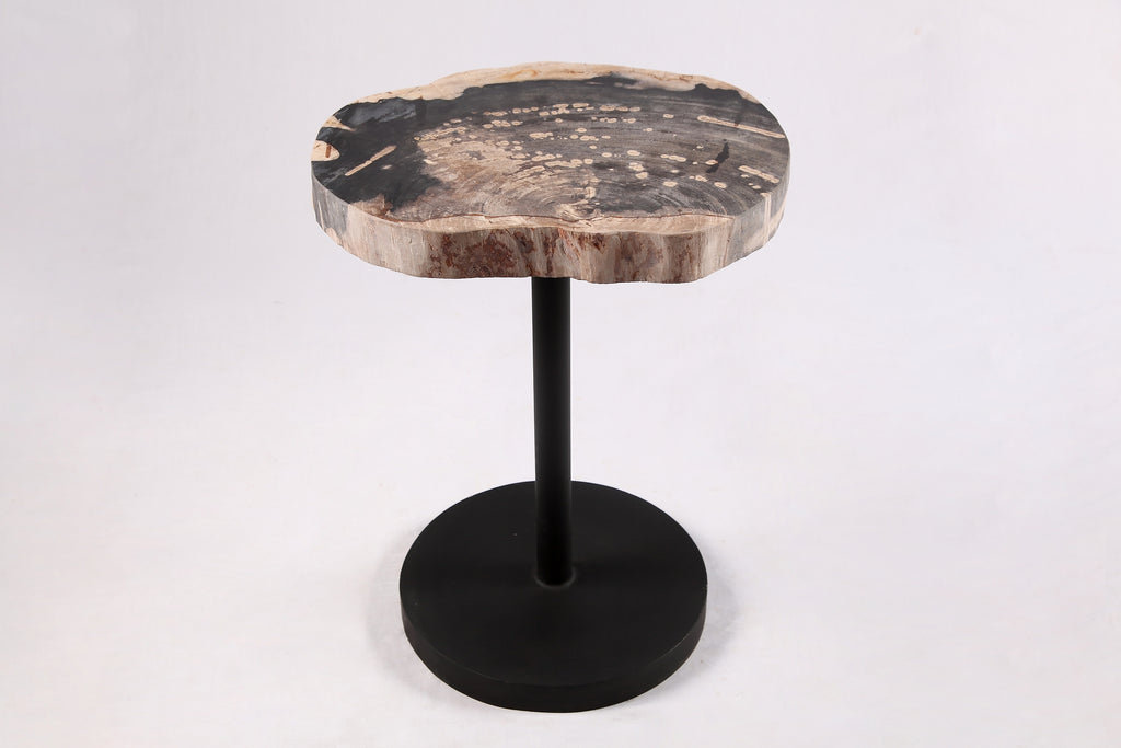 Living Edge Petrified Wood Top w Black Metal Stand Accent Table or Side Table 56