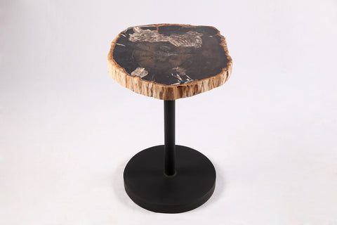Living Edge Petrified Wood Top w Black Metal Stand Accent Table or Side Table 57