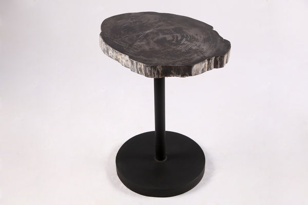Living Edge Petrified Wood Top w Black Metal Stand Accent Table or Side Table 59