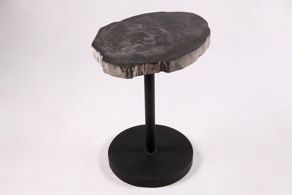 Living Edge Petrified Wood Top w Black Metal Stand Accent Table or Side Table 59