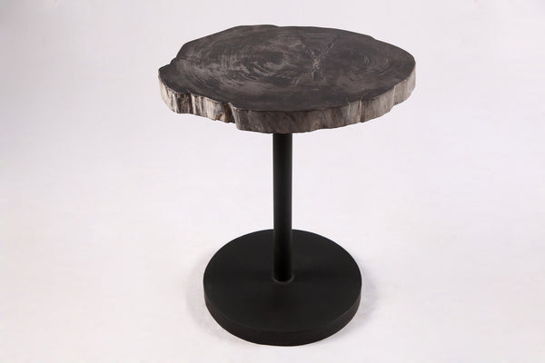 Living Edge Petrified Wood Top w Black Metal Stand Accent Table or Side Table 59