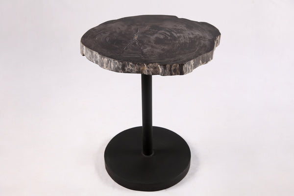 Living Edge Petrified Wood Top w Black Metal Stand Accent Table or Side Table 59