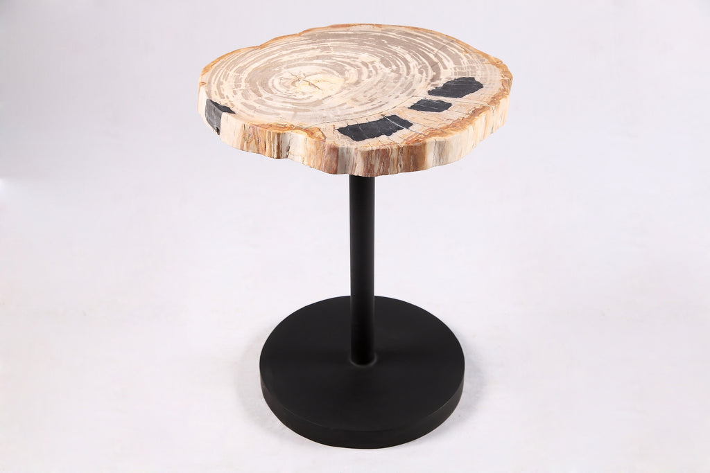 Living Edge Petrified Wood Top w Black Metal Stand Accent Table or Side Table 60
