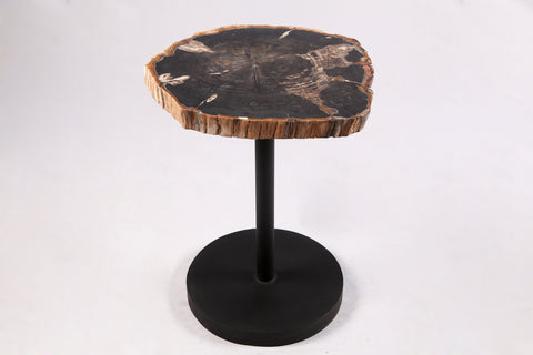 Z-Living Edge Petrified Wood Top w Black Metal Stand Accent Table or Side Table 61