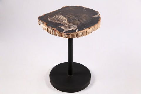 Living Edge Petrified Wood Top w Black Metal Stand Accent Table or Side Table 62