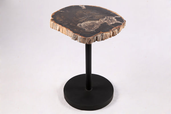 Living Edge Petrified Wood Top w Black Metal Stand Accent Table or Side Table 62